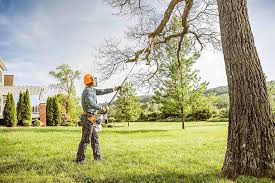 How Our Tree Care Process Works  in  Hood River, OR